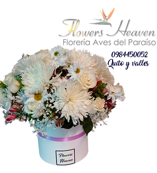 Condolencias-18.jpg