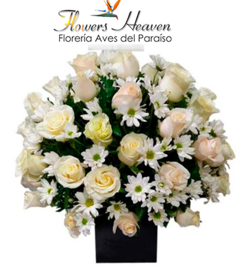Condolencias12--ofrendafloral-quito-pesame-rosas-blancas-caja-floreria-flowersheaven-0984450052.jpg