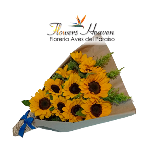 Encanto-de-girasoles(2).jpg