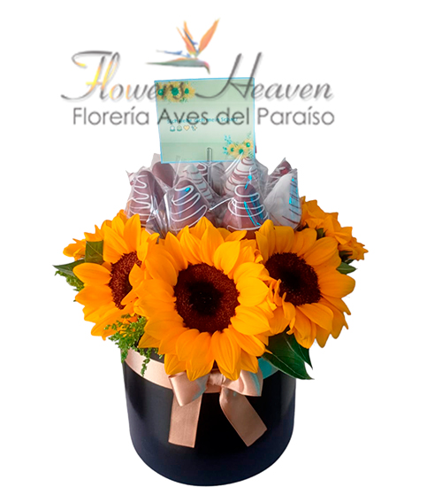 Para-mimarla-0984450052.jpg