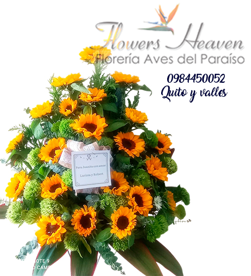 condolencias-4-0984450052.jpg