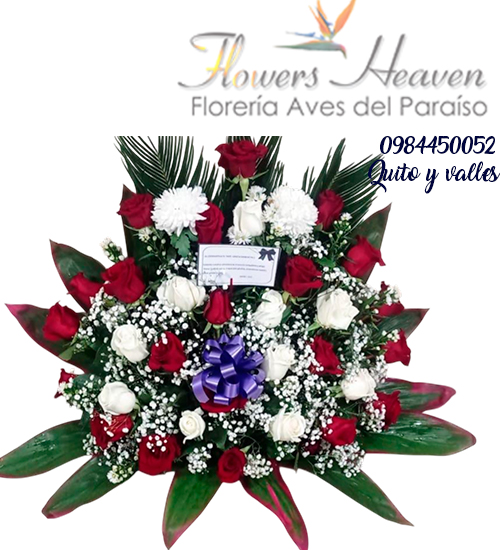 condolencias-r6.jpg
