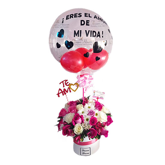 eres_mivida(1).jpg