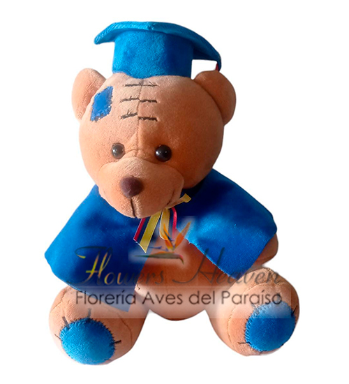 graduado-cafe-con-azul.jpg