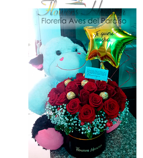 rosas-peluche50cm.jpg