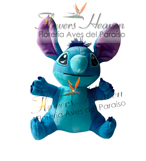 stich-0984450052.jpg