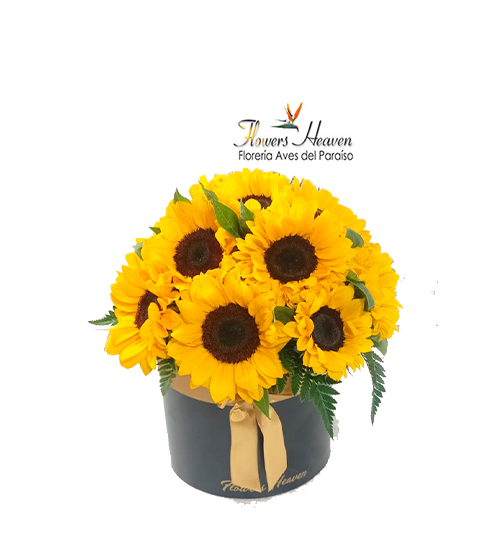 sunflowers(2).jpg